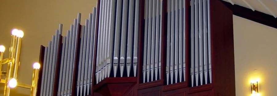 Prospekt organowy — Przegędza